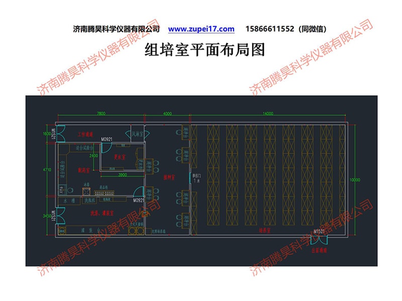 昆明人參果組培室建設方案