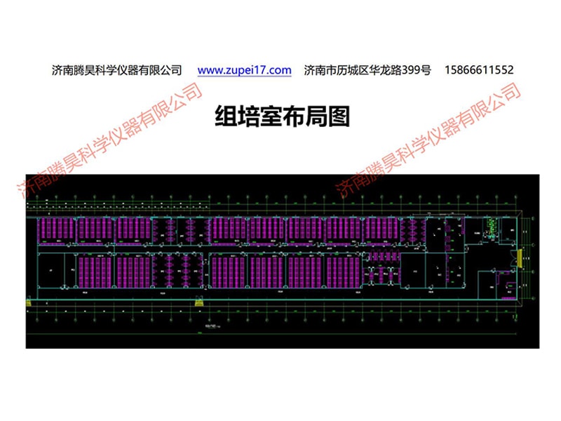 蘭州新區組培室設計圖