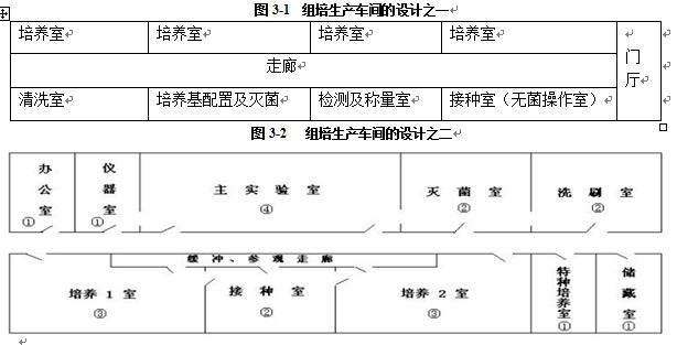 組培室設計基本規則