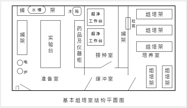 組培實驗室建設應該如何規劃設計？我們應該注意什么？